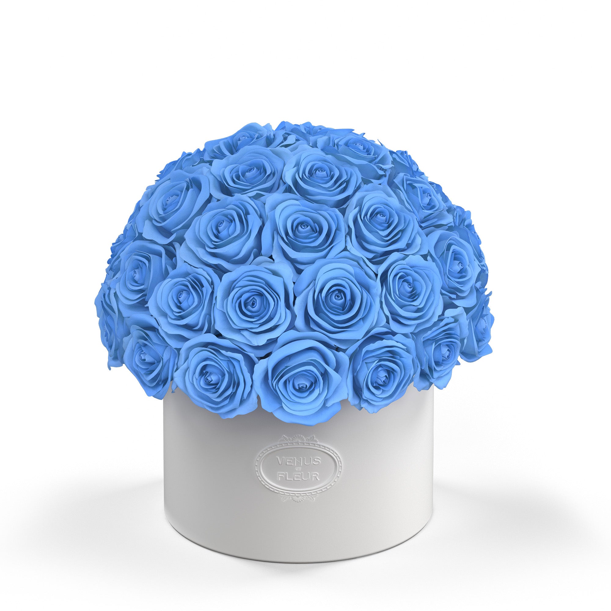 thalia-porcelain-roses-babyblue.jpg