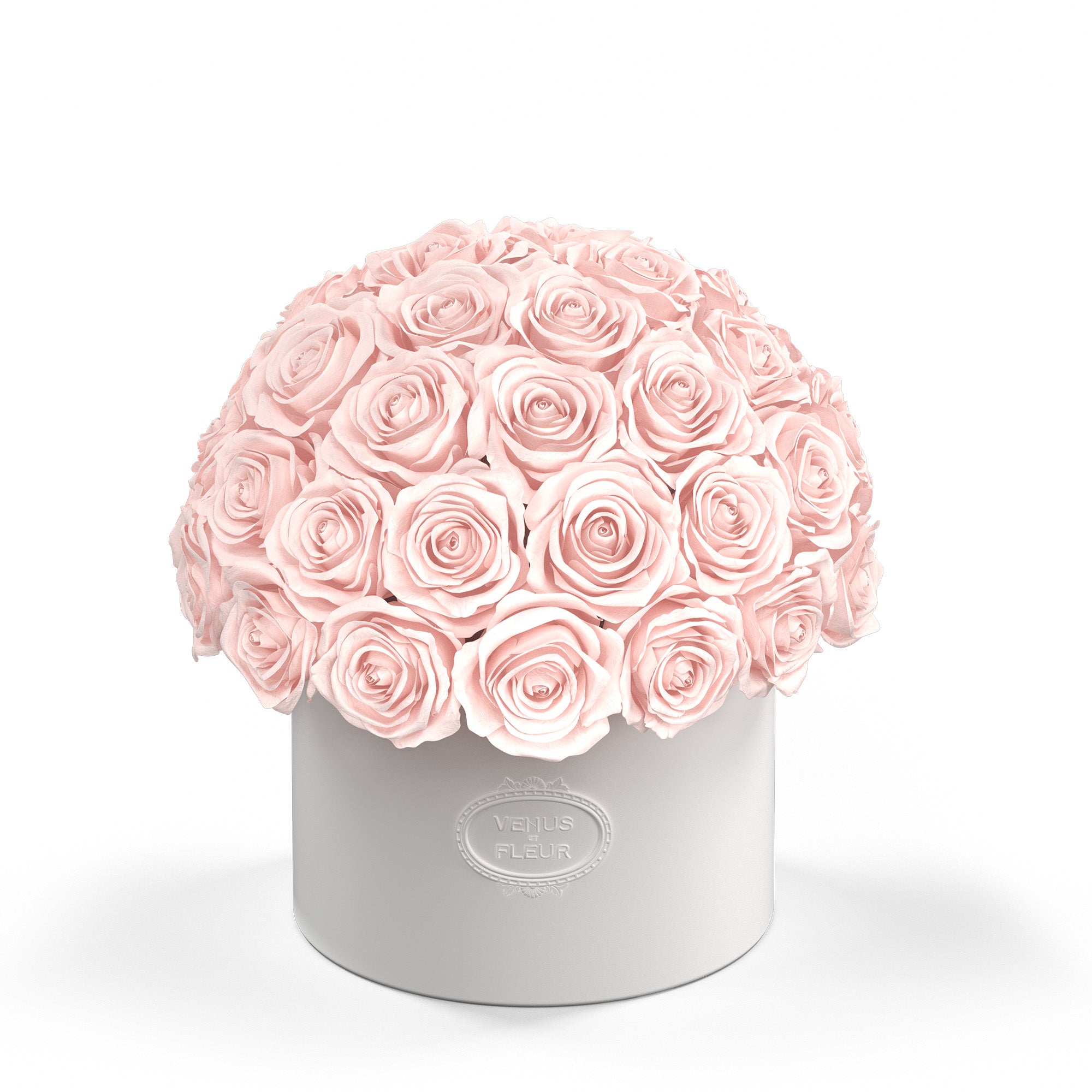 thalia-porcelain-roses-blush.jpg