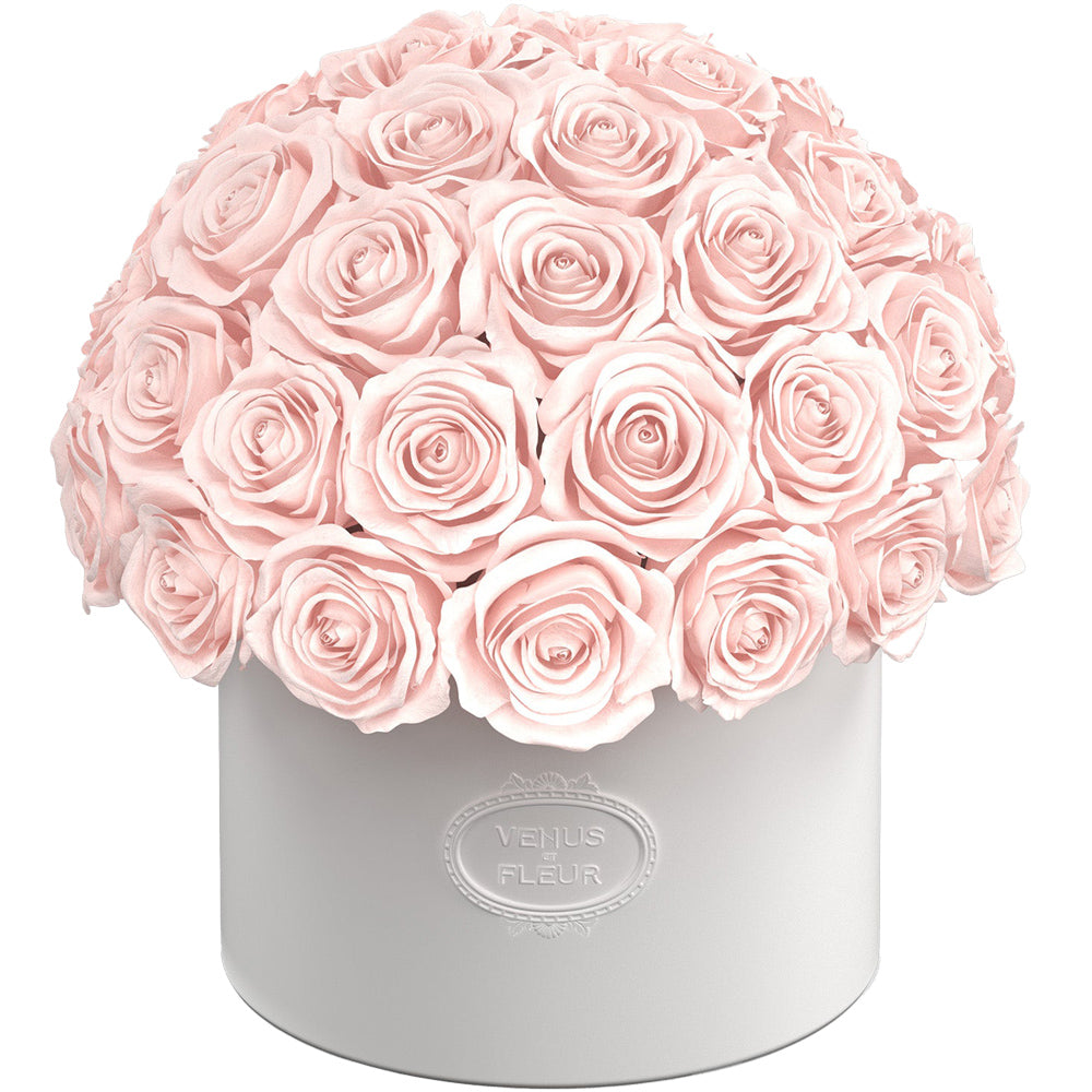 thalia_roses.jpg
