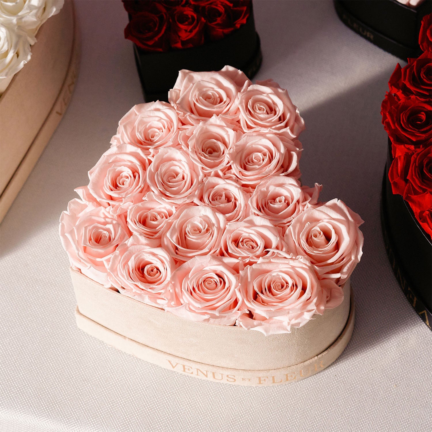 vday221501-1.jpg