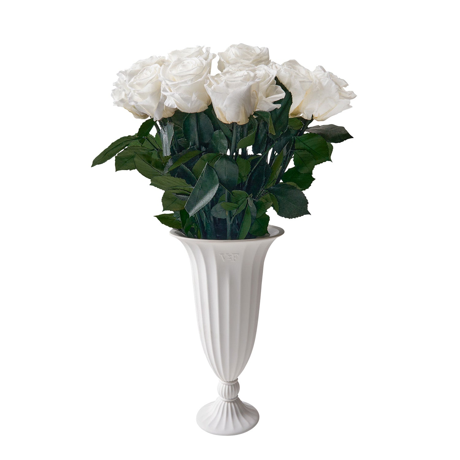 white_31.jpg