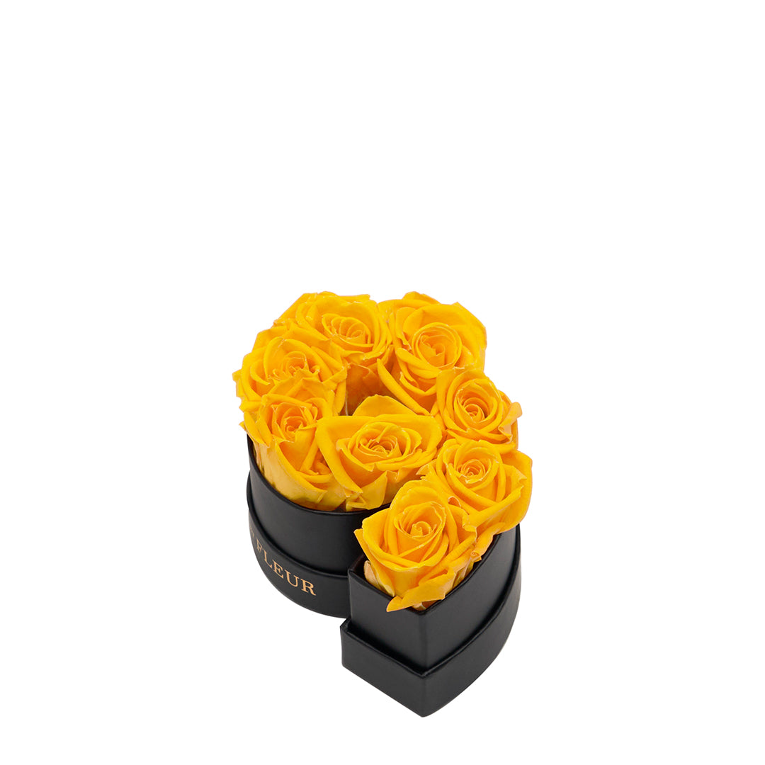 yellow_59402bae-b959-4d04-a2dd-04e4014c5651.jpg